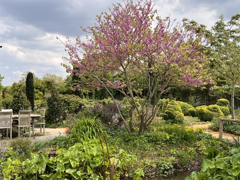Midsummer House